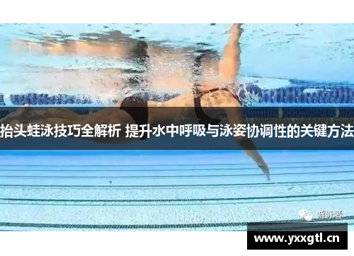抬头蛙泳技巧全解析 提升水中呼吸与泳姿协调性的关键方法