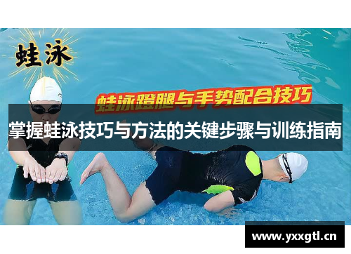 掌握蛙泳技巧与方法的关键步骤与训练指南